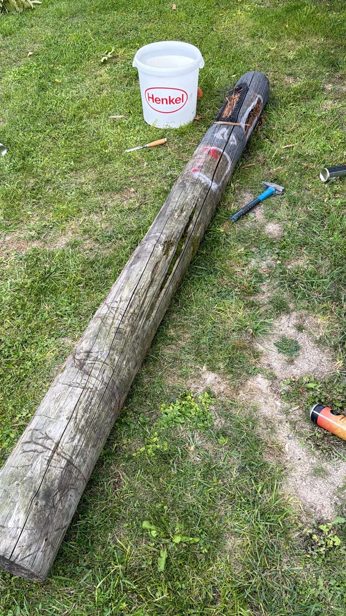 A dead tree trunk lying on the grass at the studio, before painting